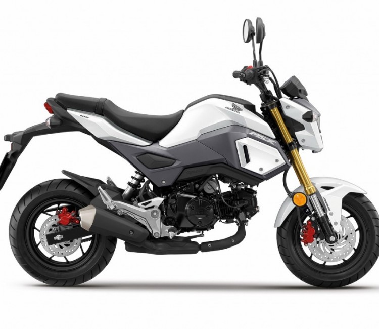 Honda MSX125 - Motorcycles, Scooters, Helmets, Clothing & Accessories ...